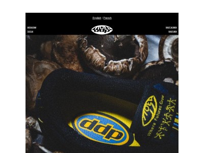 Préparez vous pour MOEA x DDP 🔥