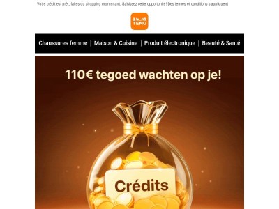 Votre remboursement de 110€ est effectué le 12 janv. 2026