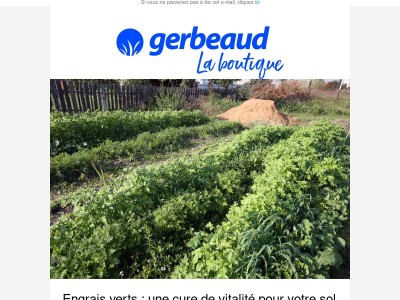 Engrais verts : le bon réflexe pour un sol fertile 🌱