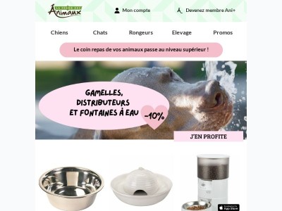 Des repas bien servis à prix mini !