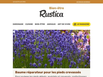 Pieds secs, jambes lourdes, peau qui tiraille... Utilisez les plantes pour atténuer les maux de l'été