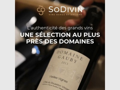 En direct des domaines : découvrez notre sélection 🍷